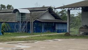 S__31006771_0.jpg
