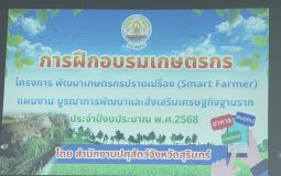 S__2613268_0.jpg