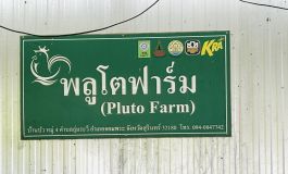 S__4448297_0.jpg