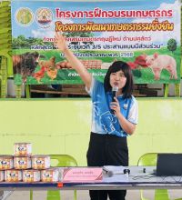 S__3121291_0.jpg