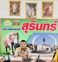 S__2654258_0.jpg