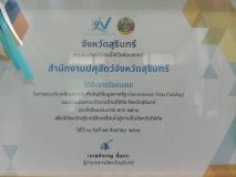 1015055.jpg