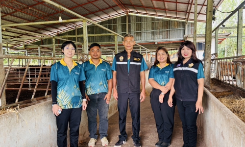 ปศุสัตว์สุรินทร์  ออกติดตามโคเนื้อ  ในพื้นที่อำเภอศีขรภูมิ  จังหวัดสุรินทร์