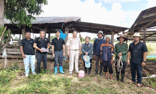"ปศุสัตว์สุรินทร์ลงพื้นที่ตรวจสอบและให้การช่วยเหลือเกษตรกรกรณีกระบือตายไม่ทราบสาเหตุ"