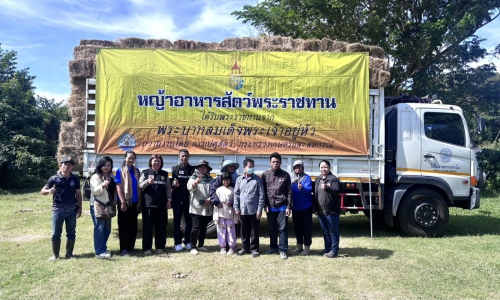 ปศุสัตว์จังหวัดสุรินทร์ร่วมกับหน่วยงานบูรณาการ DLD-C ในพื้นที่จังหวัดสุรินทร์ รับเสบียงอาหารสัตว์(หญ้าแห้ง)พระราชทาน เพื่อช่วยเหลือเกษตรกรที่ได้รับผลกระทบด้านปศุสัตว์ จากโรคระบาดในสัตว์เลี้ยง 