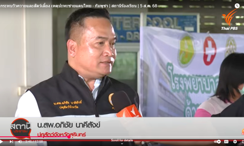 ผลกระทบวัวควายและสัตว์เลี้ยง เหตุปะทะชายแดนไทย - กัมพูชา | Thai PBS สถานีร้องเรียน | 5 ส.ค. 68