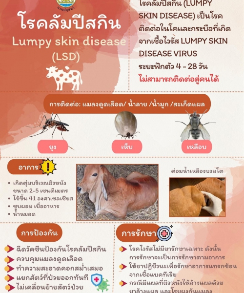 🐮💥 โรคลัมปี สกิน 🐃