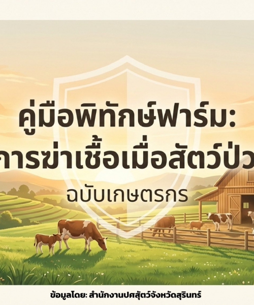 🐄🛡️ การฆ่าเชื้อในฟาร์มเมื่อมีสัตว์ป่วย–ตาย เป็นขั้นตอนสำคัญที่ต้องดำเนินการทันที การทำความสะอาดและฆ่าเชื้ออย่างถูกวิธี ช่วยลดปริมาณเชื้อโรคในคอก ป้องกันการแพร่กระจาย และลดโอกาสเกิดการป่วยล้มตายเพิ่มในฝูง ✔️ การฆ่าเชื้อถูกวิธีช่วยหยุดโรคได้เร็ว และลดความสู