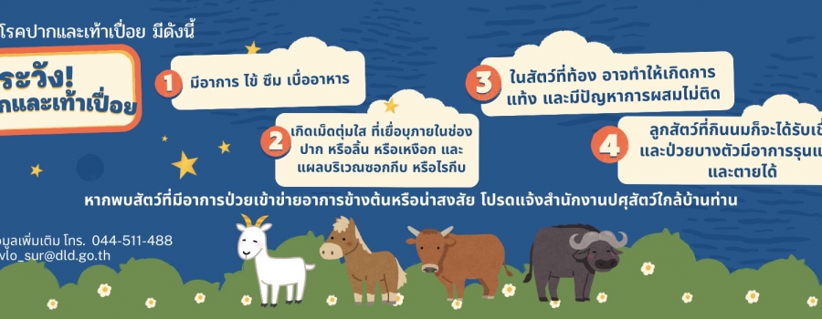 ระวัง โรคปากและเท้าเปื่อย