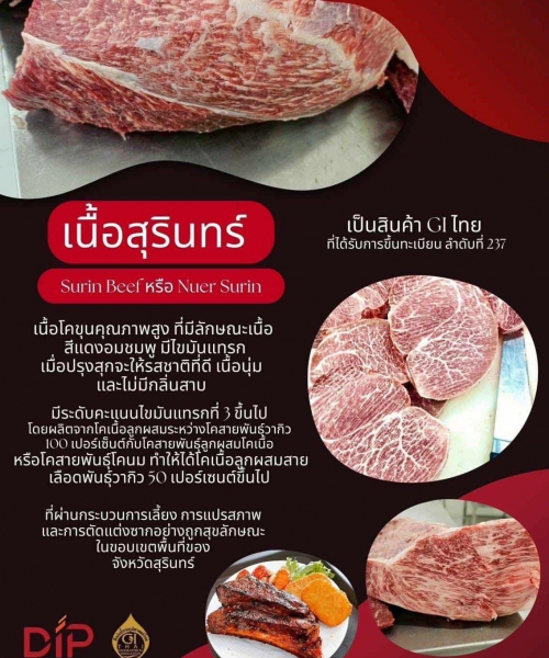 กรมปศุสัตว์ปลื้ม “เนื้อสุรินทร์” ประกาศขึ้นทะเบียน GI ตัวล่าสุด