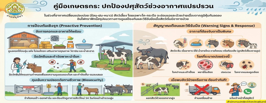 ช่วงอากาศแปรปรวน สัตว์จะอ่อนแอป่วยง่ายนะครับ ขอให้เกษตรกรดูแลคอกให้อุ่น–แห้ง 🏡 น้ำสะอาด 💧 อาหารดี 🥕 ถ้าเห็นวัวควายซึม มีไข้ หรือกินได้น้อย ให้แยกไว้ก่อนนะครับ 🐄➡️🏡 งดเคลื่อนย้าย และแจ้งปศุสัตว์ใกล้บ้านได้เลยครับ 📞🤝