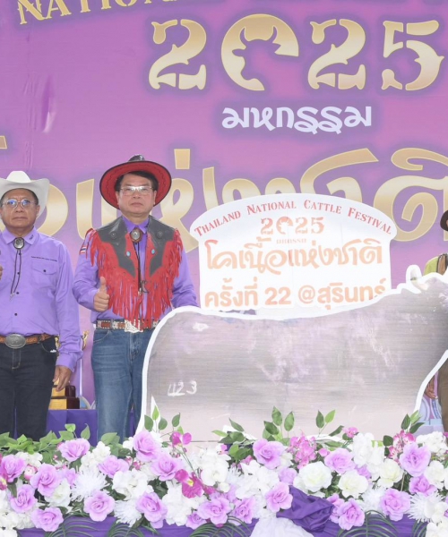 กรมปศุสัตว์ ร่วมเปิดงานมหกรรมโคเนื้อแห่งชาติ ครั้งที่ 22 จ.สุรินทร์ ส่งเสริมการเลี้ยงโคเนื้อสร้างรายได้