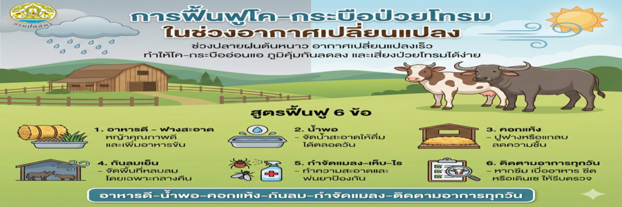 Gemini Generated Image kluq3ykluq3ykluq 1