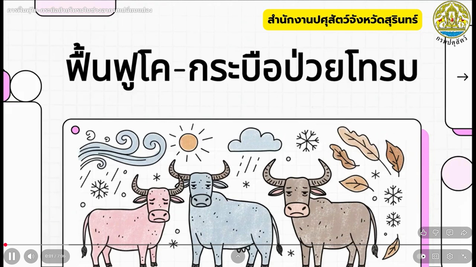 messageImage 1764041683829