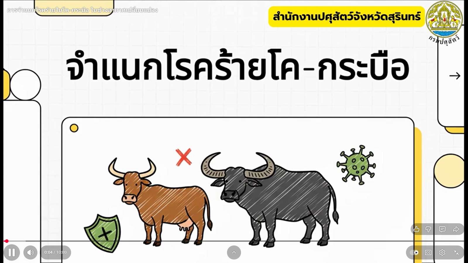 messageImage 1764042359490