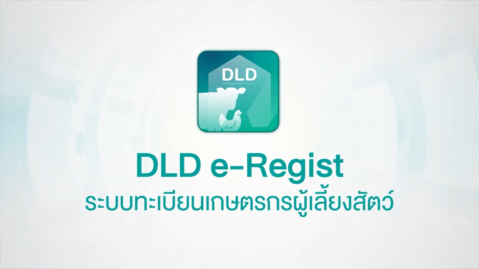 DLD